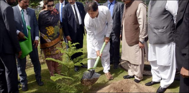 PM launches ‘Plant for Pakistan’ campaign