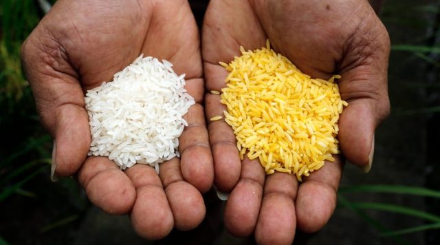 Pakistan’s Rice Exports to The Middle East Rise 59% Due to COVID-19