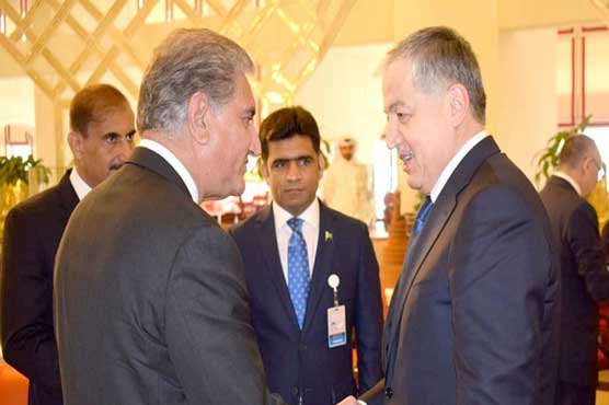 FM Qureshi, Kyrgyz FM discuss bilateral relations - Pakistan