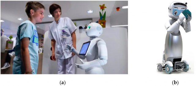 1 Robotics Utilization for Healthcare Digitization in Global COVI