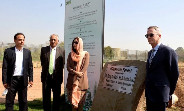 Australia gifts Miyawaki Forest to Pakistan