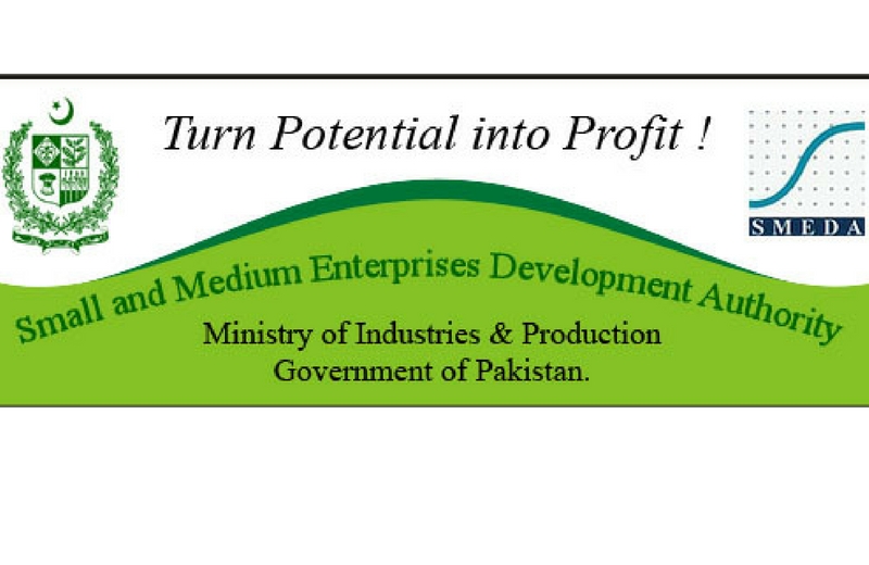حمایت از تشکیلات اقتصادی کوچک در پاکستان