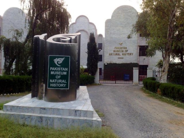 Pakistan-Museum-of-National-History