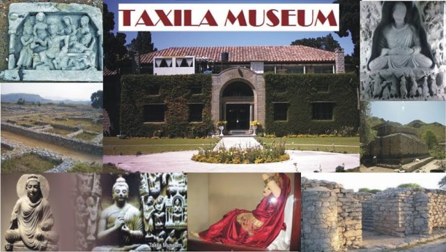 taxla museum