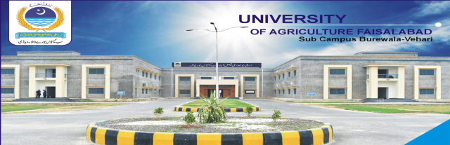 University of Agriculture Faisalabad (UAF)