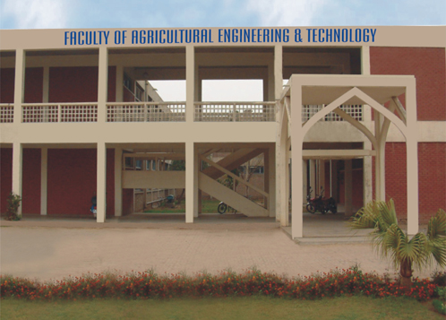 University of Agriculture Faisalabad (UAF)