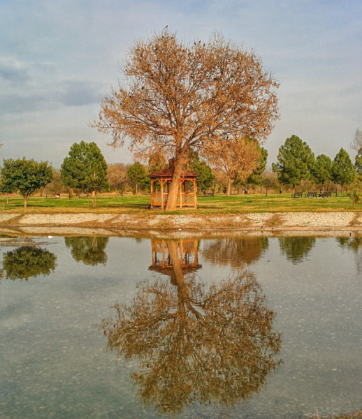 Fatima Jinnah Park Islamabad