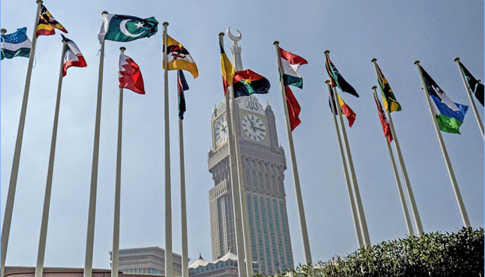 OIC to convene special moot in Pakistan on Kashmir issue