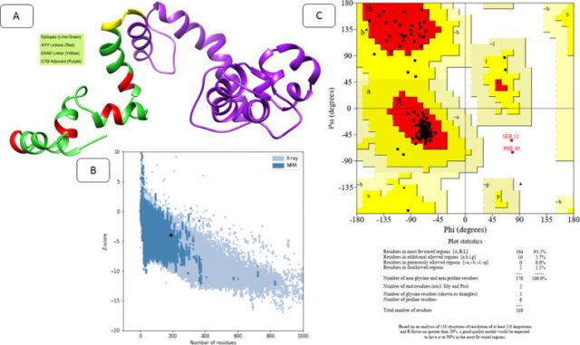 Design of a Novel Multi Epitope-Based Vaccine for Pandemic Coronavirus Disease (COVID-19) by Vaccinomics and Probable Prevention Strategy