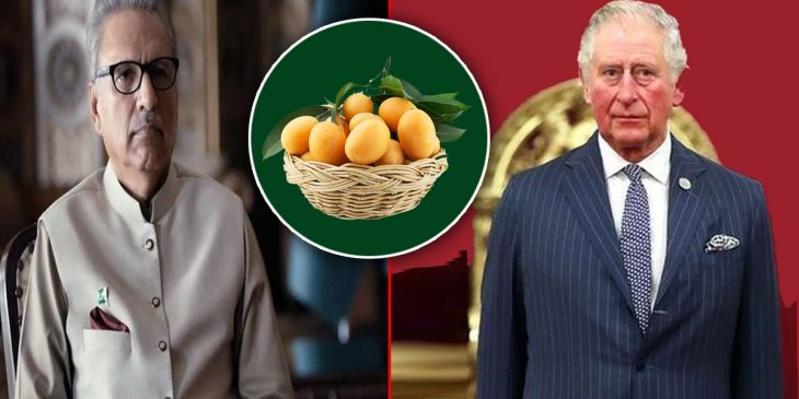 Mango Diplomacy is the best way to create Pakistan's soft image