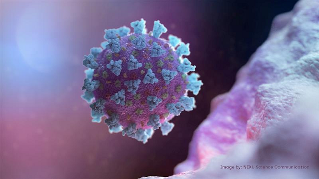 New coronavirus variant not detected in Pakistan yet